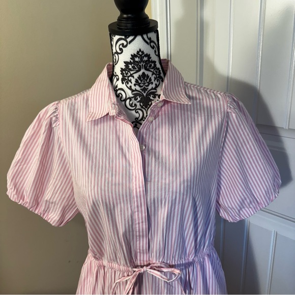 J. Crew Pink and White Striped Dress NWT - Picture 2 of 6